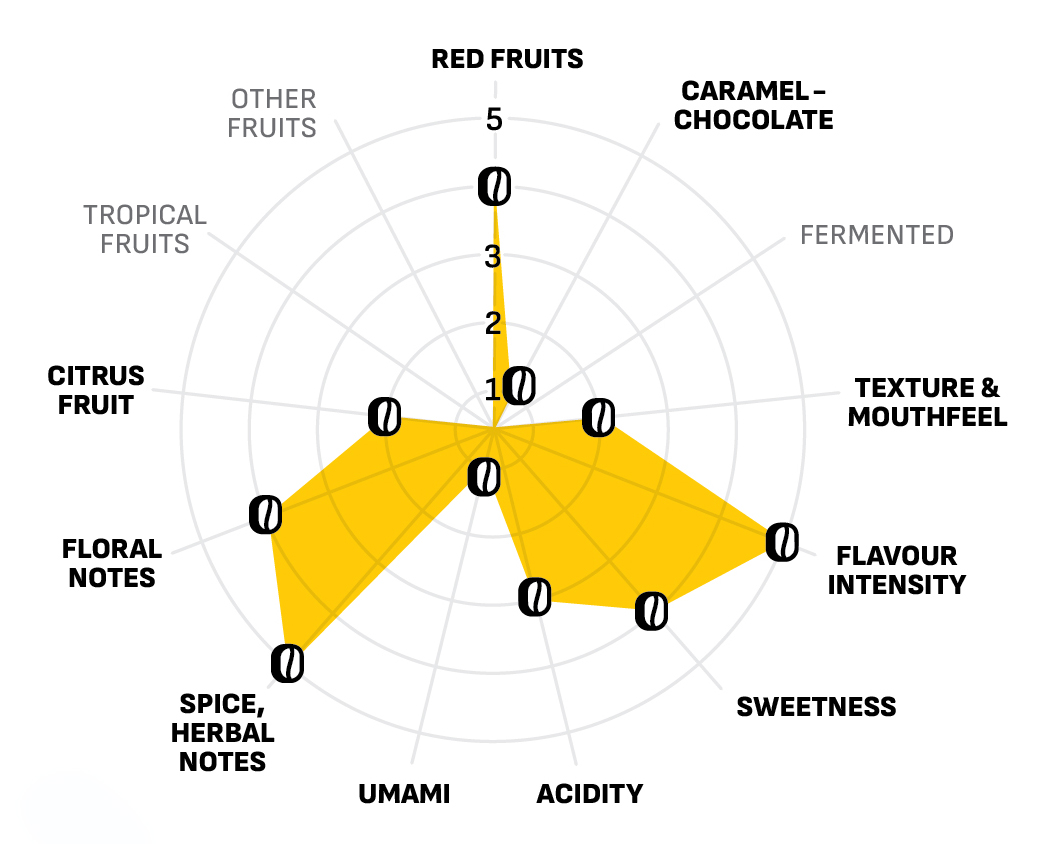 Flavor Wheel