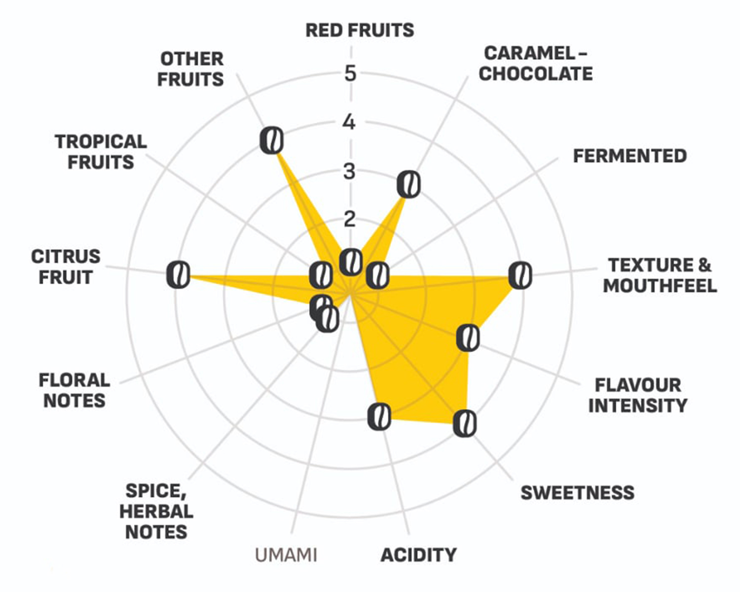 Flavor Wheel
